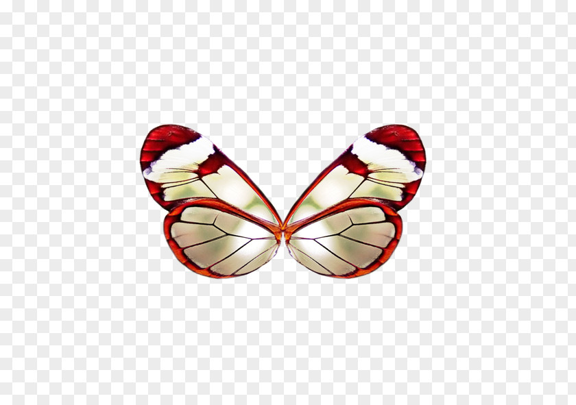 Expand Creative Butterfly Wings Clip Art PNG