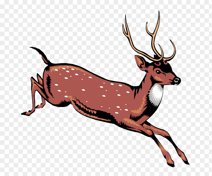 Cartoon Deer Reindeer Red Clip Art PNG
