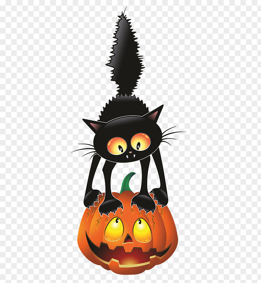 Jackolantern Plant Halloween Cat Drawing PNG