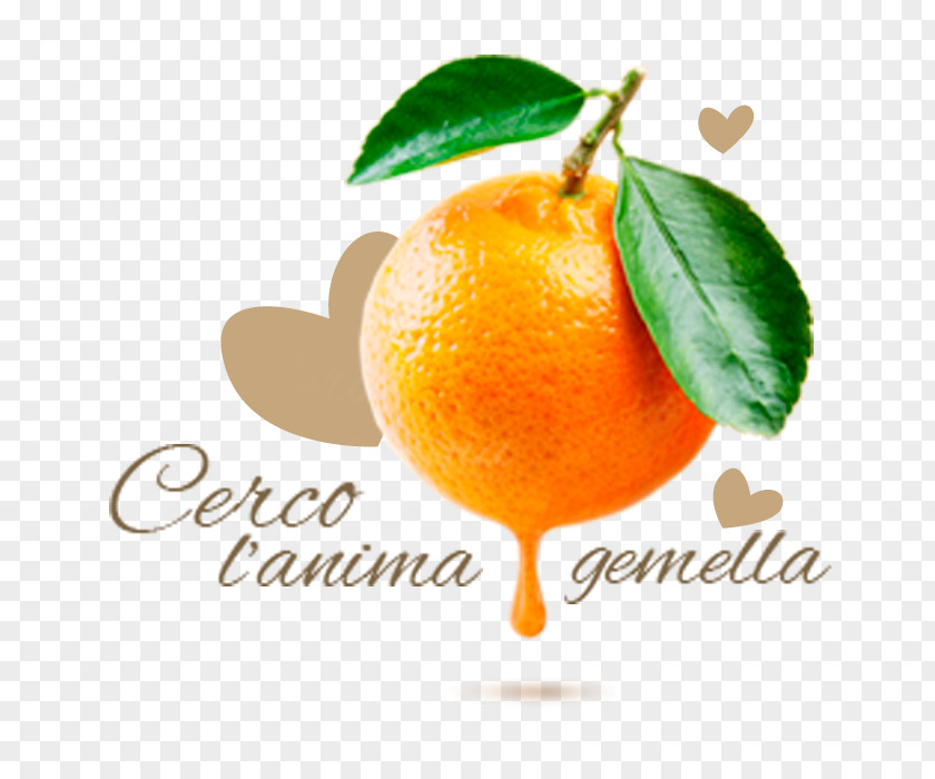 Juice Orange Mandarin Clementine Fruit PNG