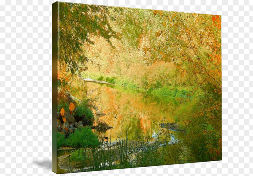 Painting Biome Flora Gallery Wrap Vegetation PNG