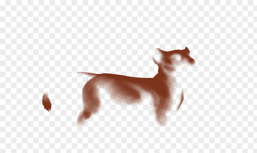 Puppy Dog Breed Italian Greyhound Ibizan Hound PNG