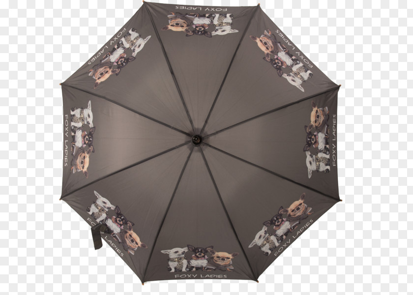 Umbrella Chihuahua Dog Breed Rain Nooit Meer Alleen PNG