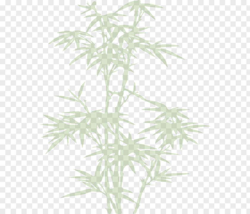 Bamboo Tree 中国人是真的 Clip Art PNG