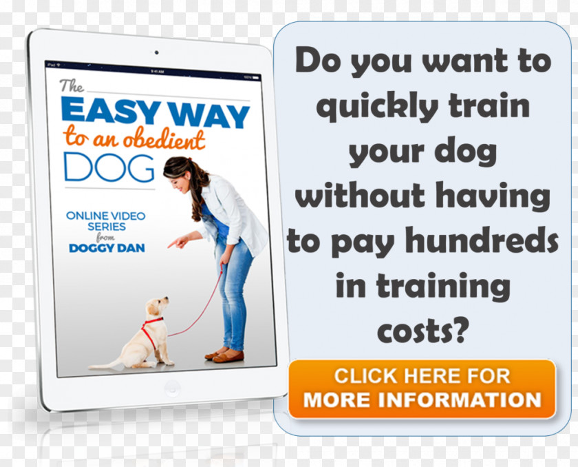 French Bulldogs Online Advertising Display Brand Web Banner PNG