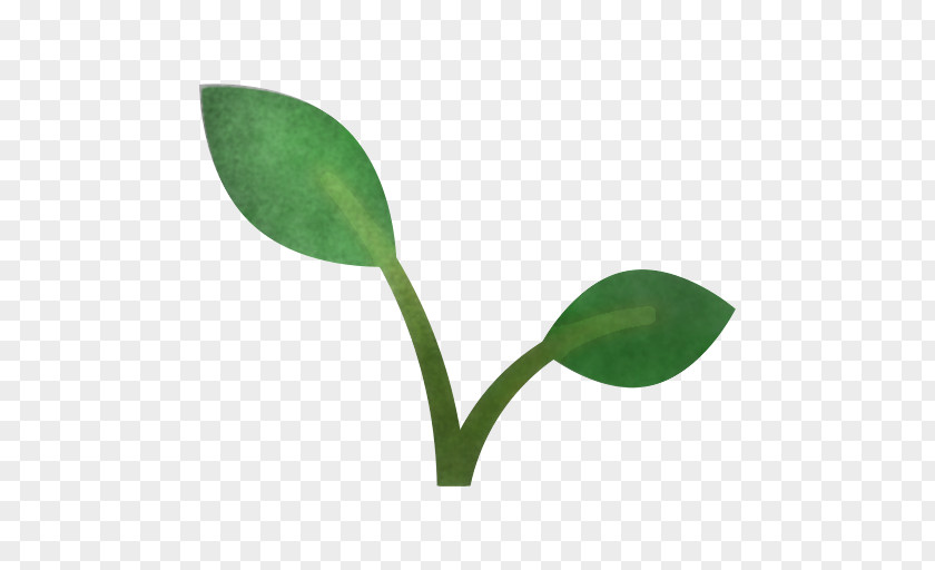 Leaf Plant Stem Photosynthesis Reproduction Transpiration PNG