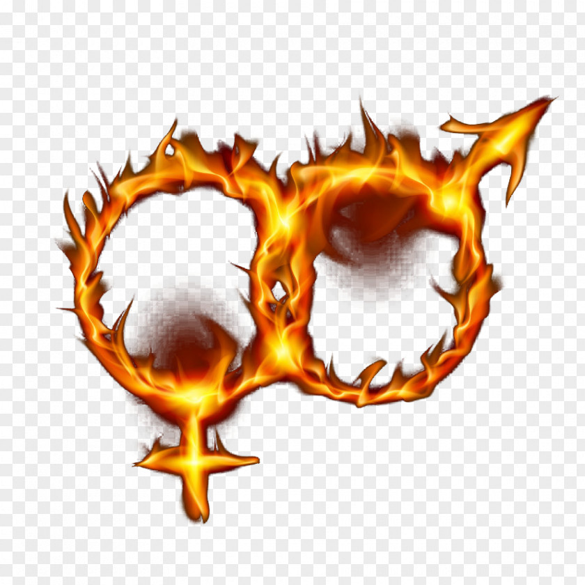 Male And Female Symbol Ring Of Fire Flame Gender Clip Art PNG