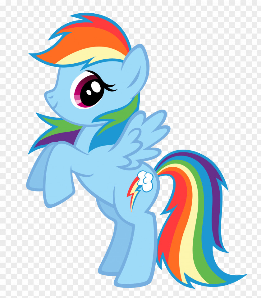 My Little Pony Characters Rainbow Dash Rarity PNG