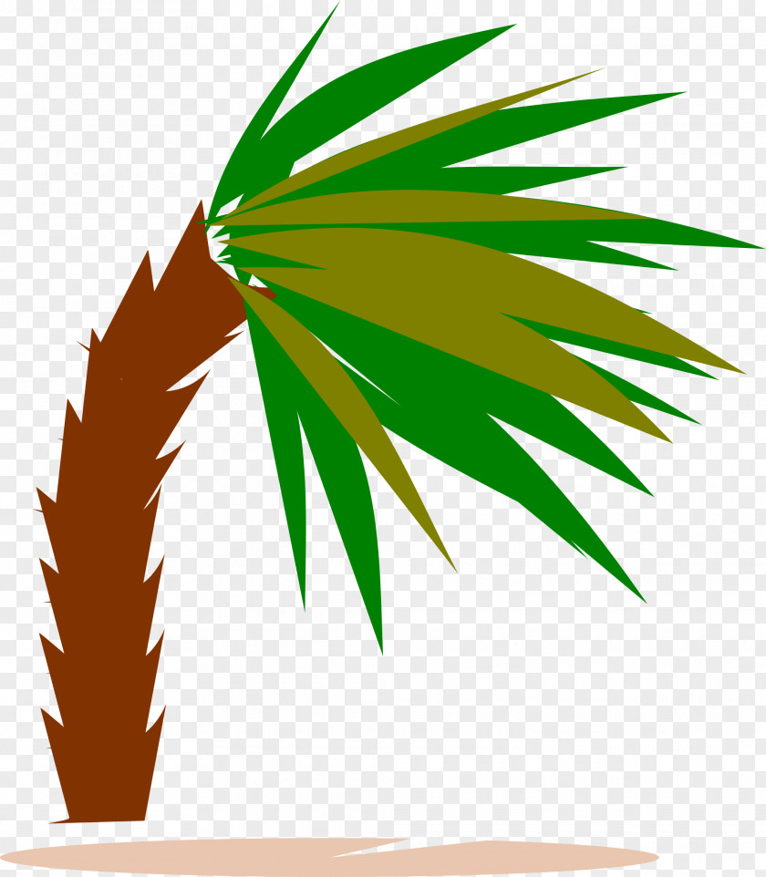 Palm Tree Arecaceae Wind Clip Art PNG