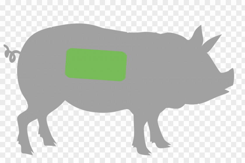 Spareribs Clipart Domestic Pig Ham Barbecue Primal Cut Of Pork PNG