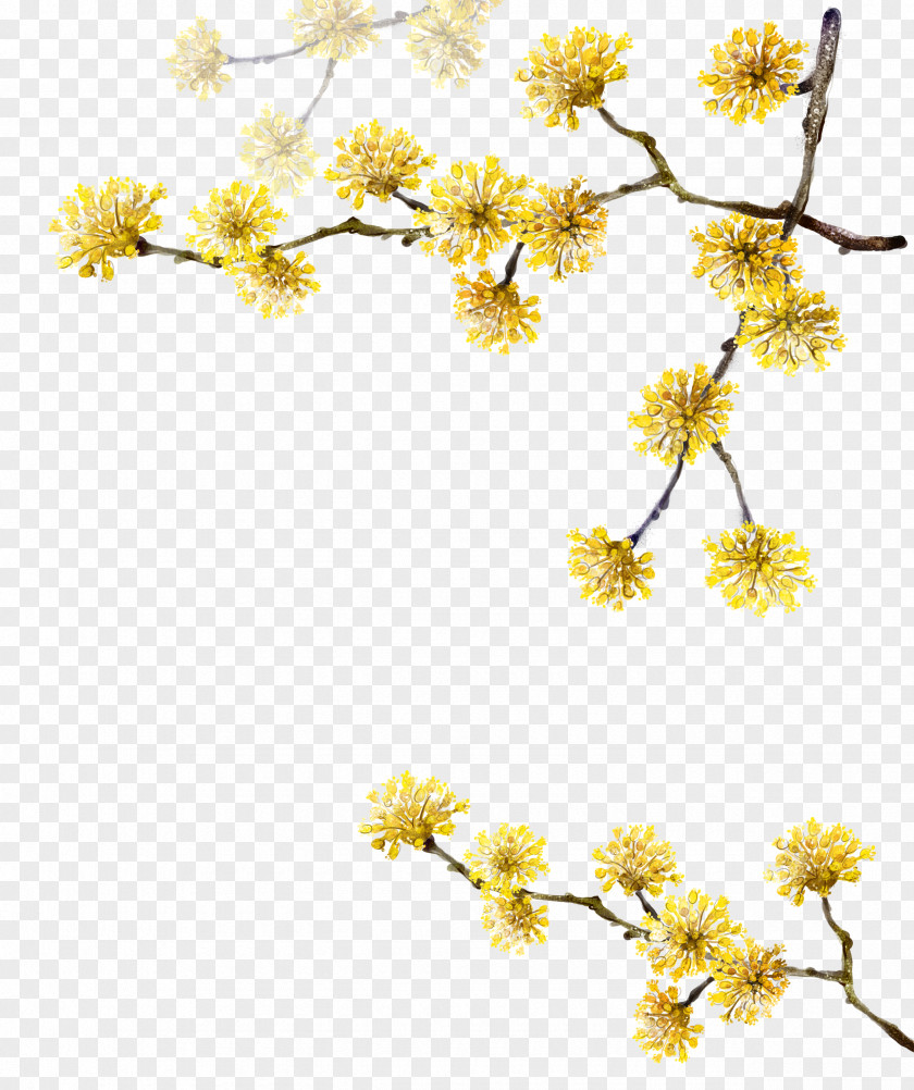 Yellow Flowers PNG flowers clipart PNG