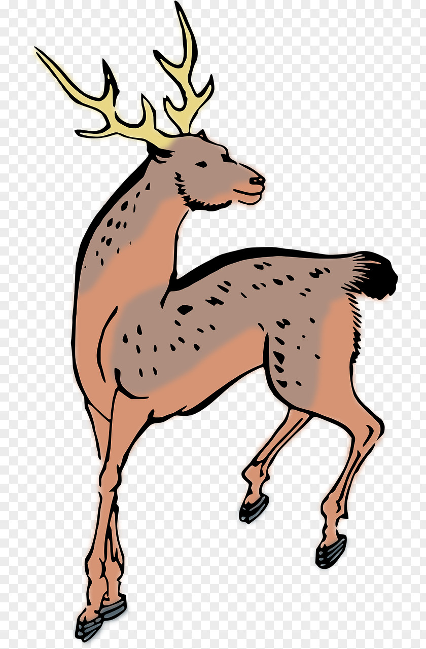 Brown Deer Clip Art PNG