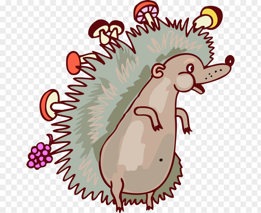 Cat European Hedgehog Drawing Clip Art PNG