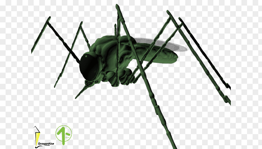 Dragon Kite Cricket Insect Cloning Pest Game PNG