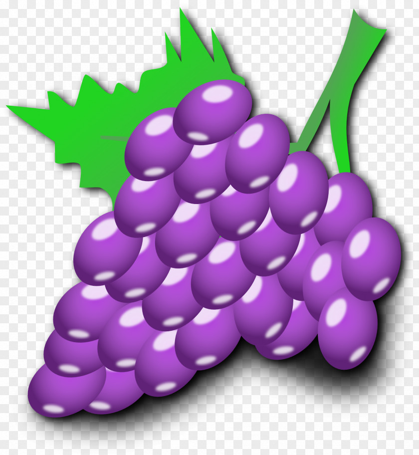 Grapefruit Common Grape Vine Gelatin Dessert Cartoon Clip Art PNG