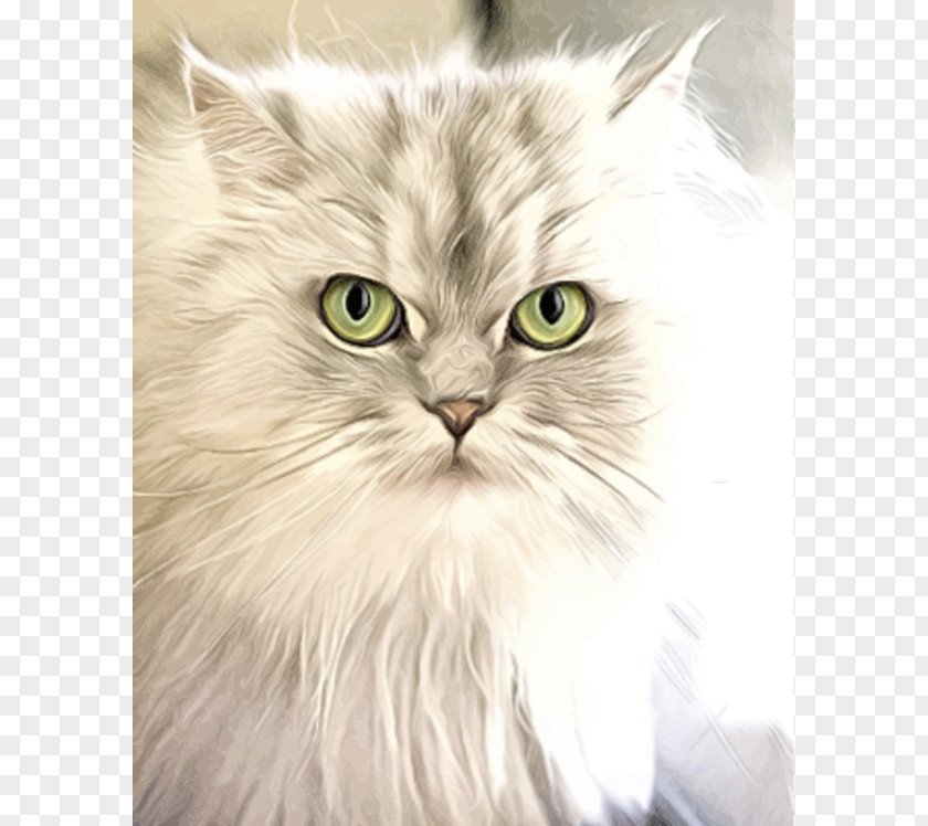 Portrait Painting Cliparts Cat Kitten Felidae Dog Veterinarian PNG