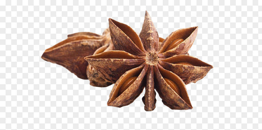 Star Anise Chinese Cuisine Spice Herb PNG