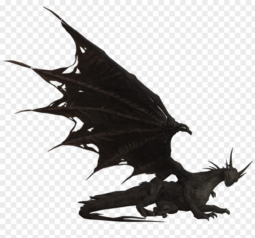 Dark Souls II White Dragon Wyvern PNG