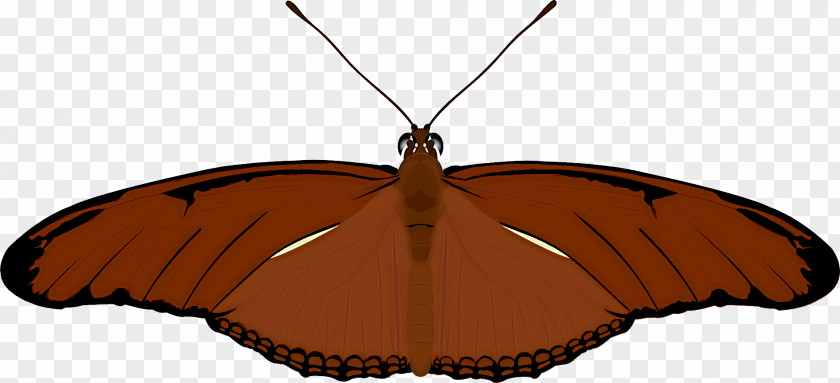 Monarch Butterfly PNG