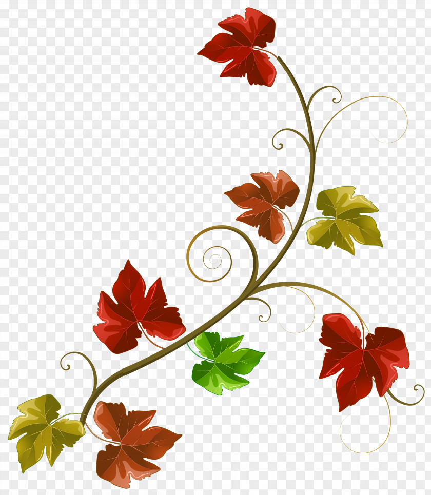 Autumn Leaves Decoration Clipart Image Clip Art PNG
