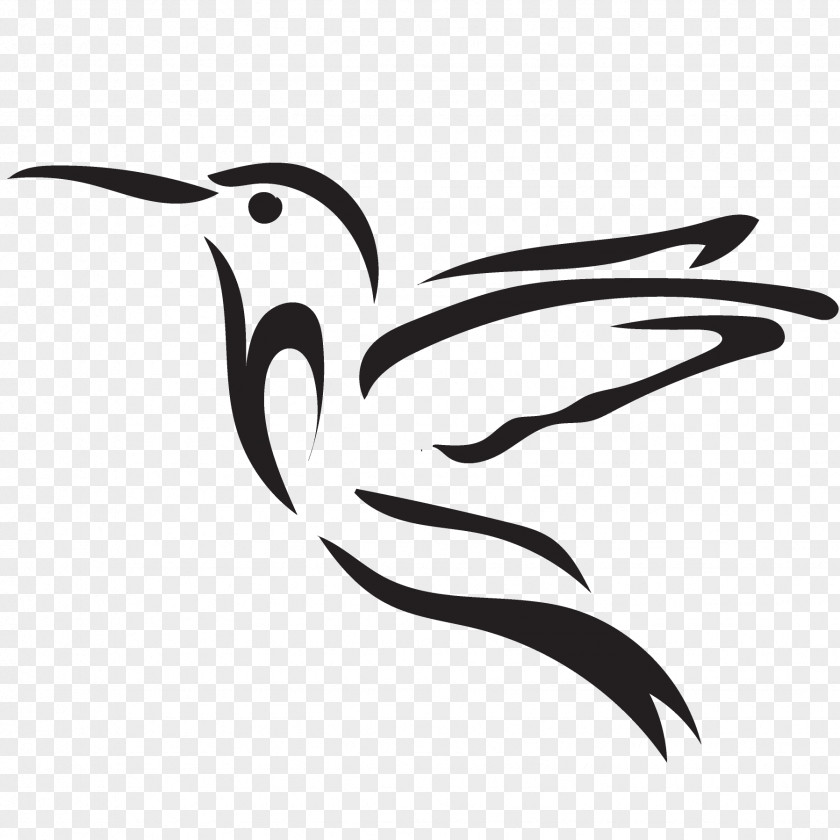 Beak Endangered Species Water Bird Phaistos PNG