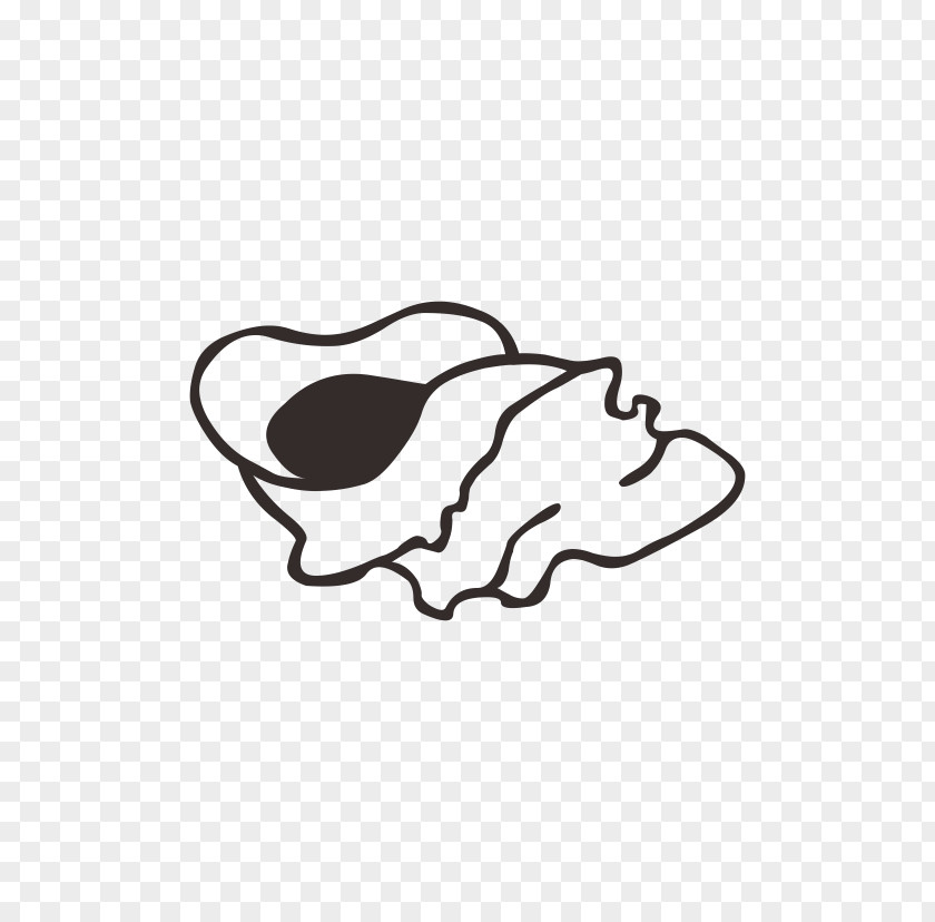 Conch Icon PNG