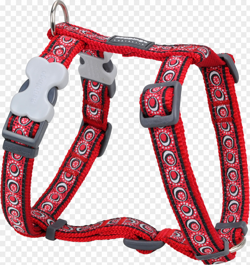 Dog Dingo Harness Puppy Collar PNG