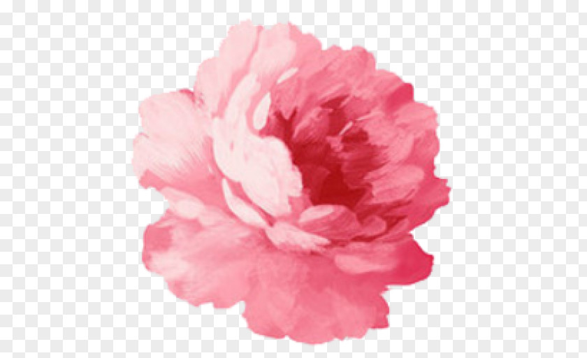 Flower Paper Pink Flowers Sticker PNG