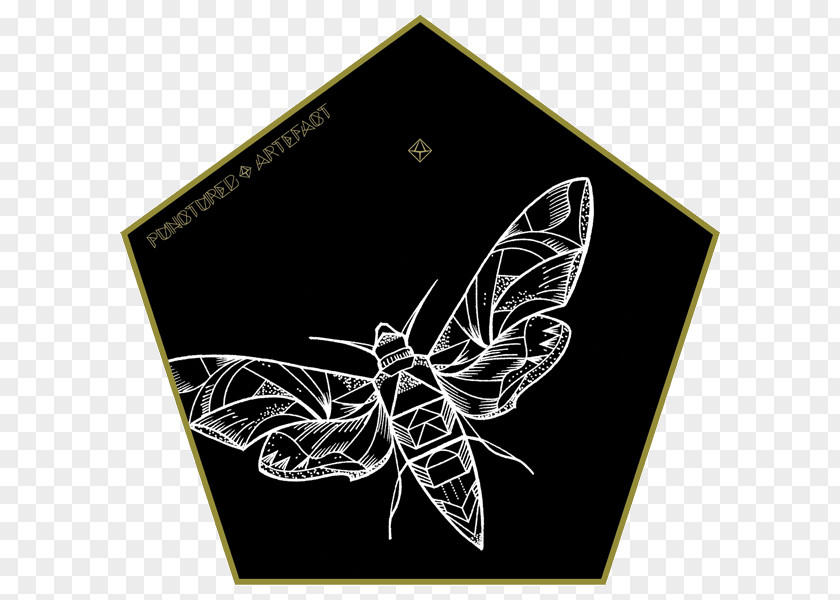 Geometric Shading Insect Butterfly Pollinator Invertebrate Arthropod PNG