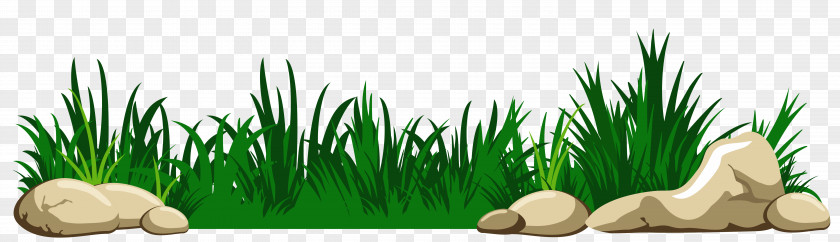 Grass With Rocks Transparent Clipart Download Clip Art PNG