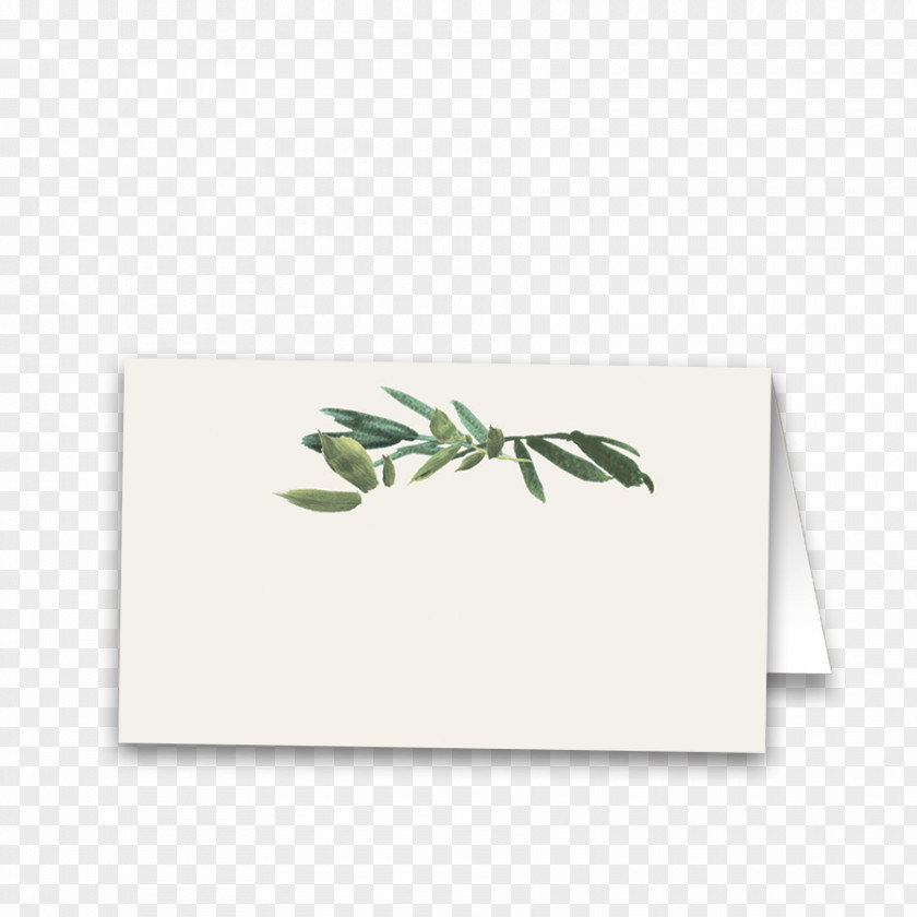 Greenery Paper Rectangle Leaf PNG