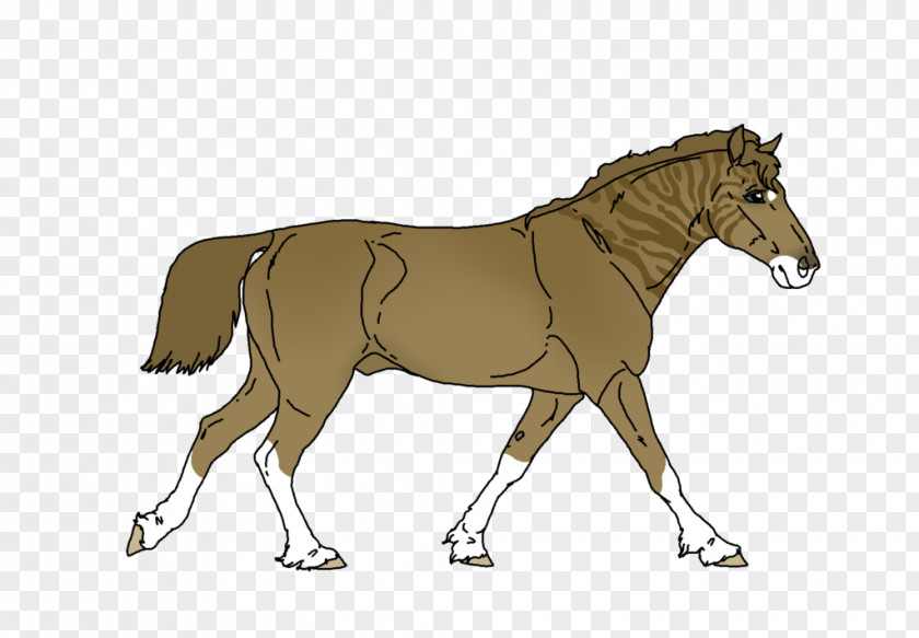 Horse Mule Foal Pony Stallion PNG