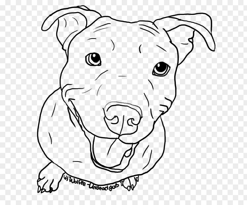 Pitbull American Pit Bull Terrier Puppy Drawing Line Art PNG