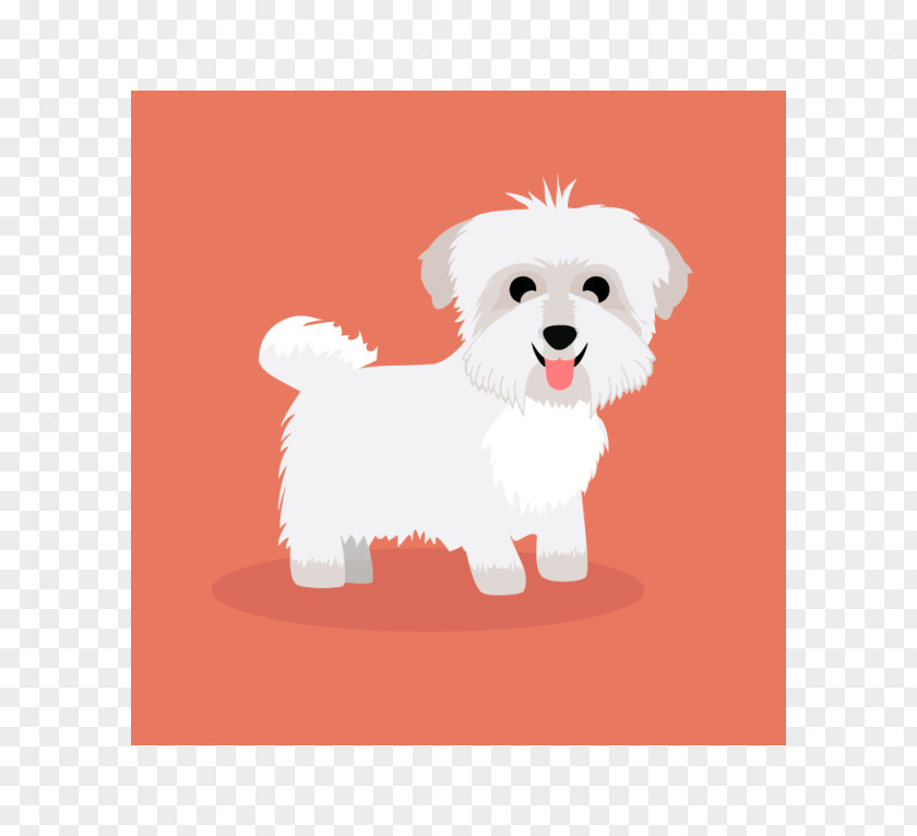 Puppy Maltese Dog Havanese Breed Companion PNG