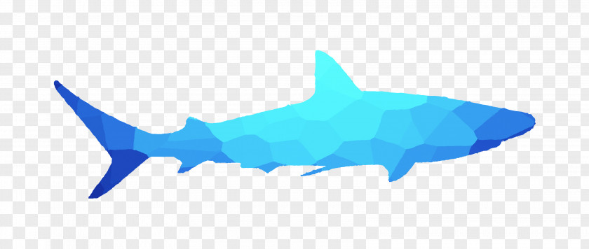 Requiem Sharks Marine Biology Mammal Fin PNG