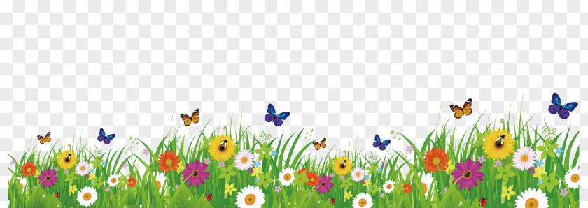 Spring Grass Butterfly Wallpaper PNG
