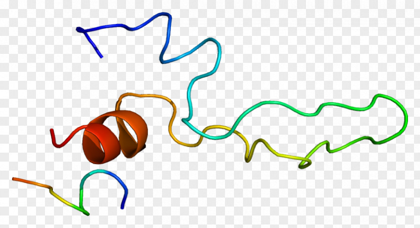 Cholecystokinin A Receptor G Protein–coupled PNG