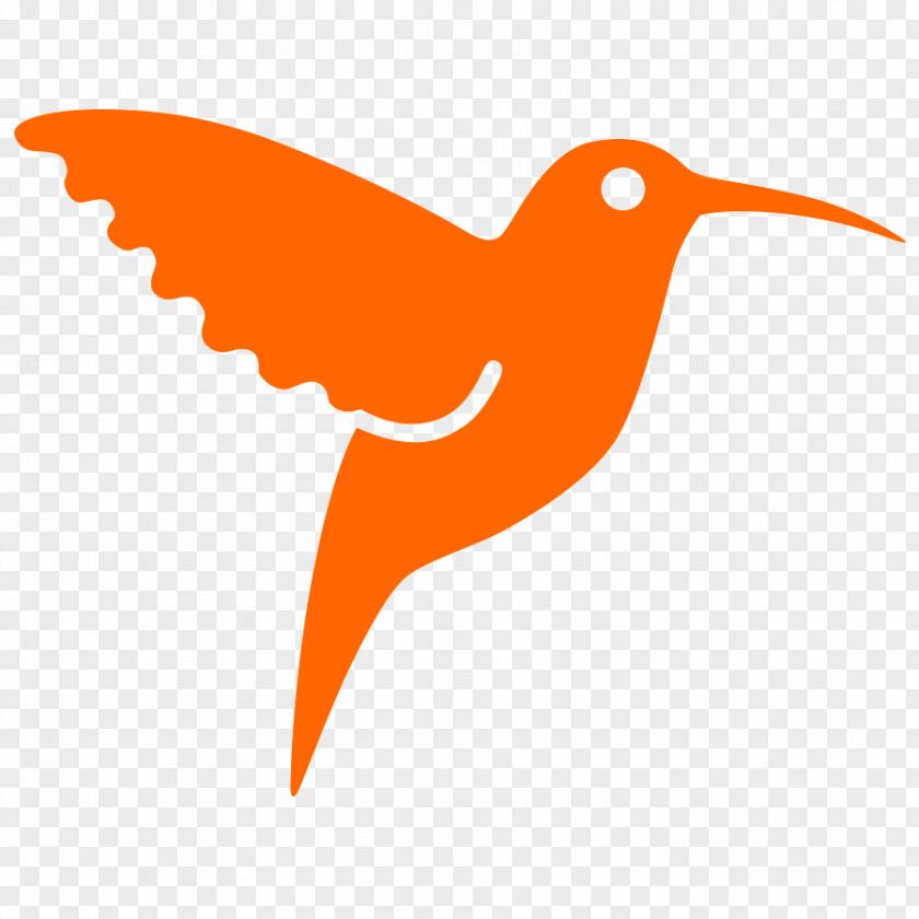Colibri Paint Hummingbird Abonent Orange S.A. Moldova Internet PNG