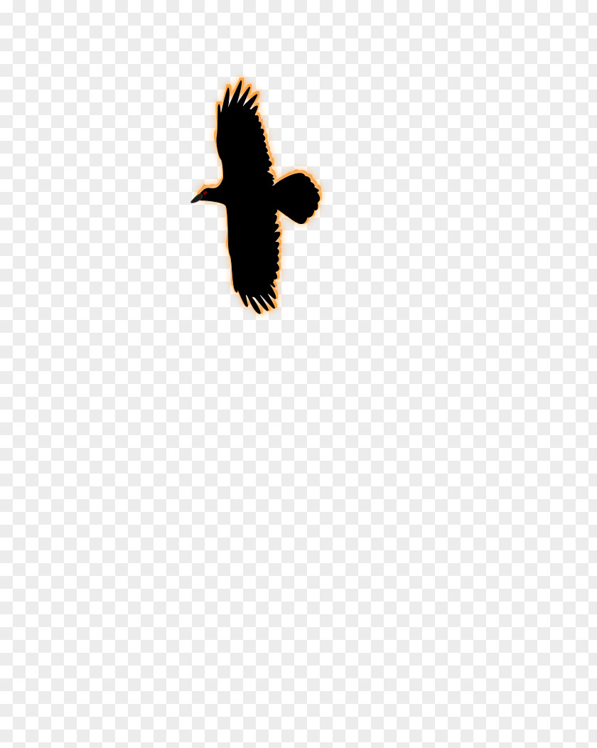 Firebird Beak Bird Silhouette Desktop Wallpaper PNG