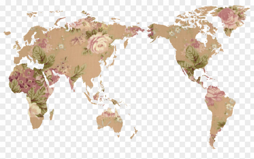Geometric Map World Globe Flat Earth PNG