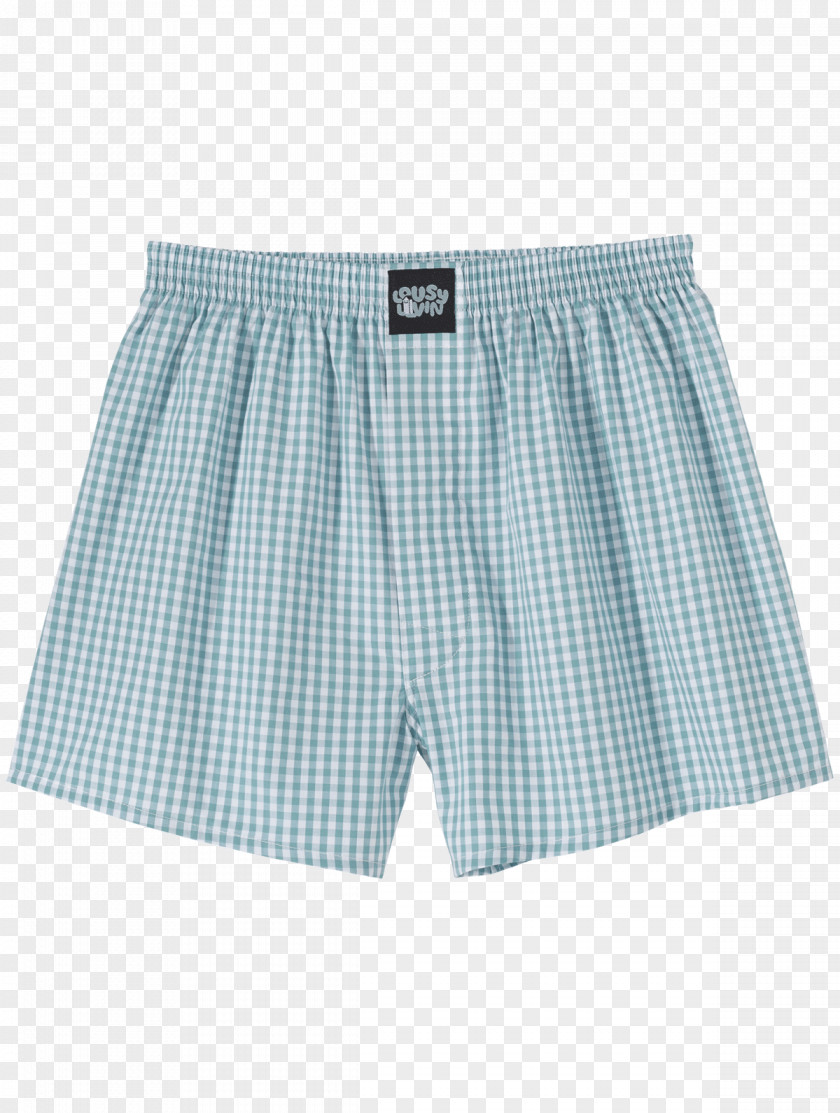 Beetrot Trunks Swim Briefs Underpants Bermuda Shorts PNG