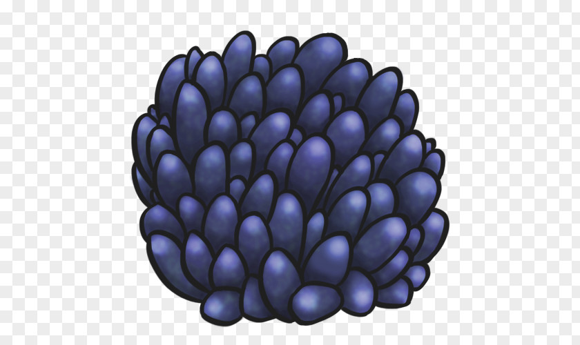 Blue Bubble Cobalt Fruit PNG