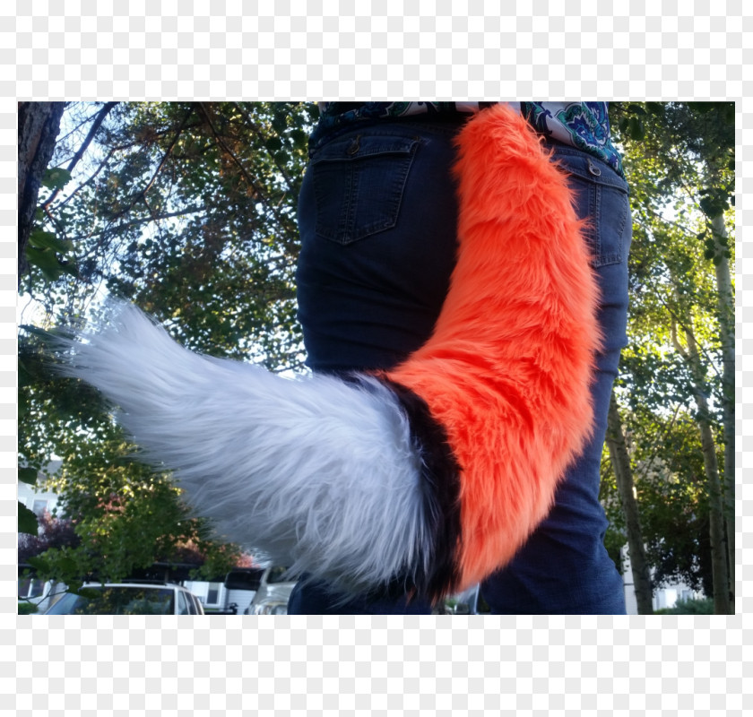 Cat Furry Fandom Tail Gray Wolf PNG