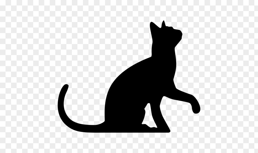 Kitten Sphynx Cat Silhouette Black Clip Art PNG