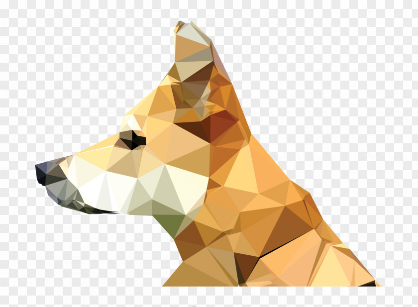 Triangle Geometry Polygon Low Poly Vector Graphics PNG