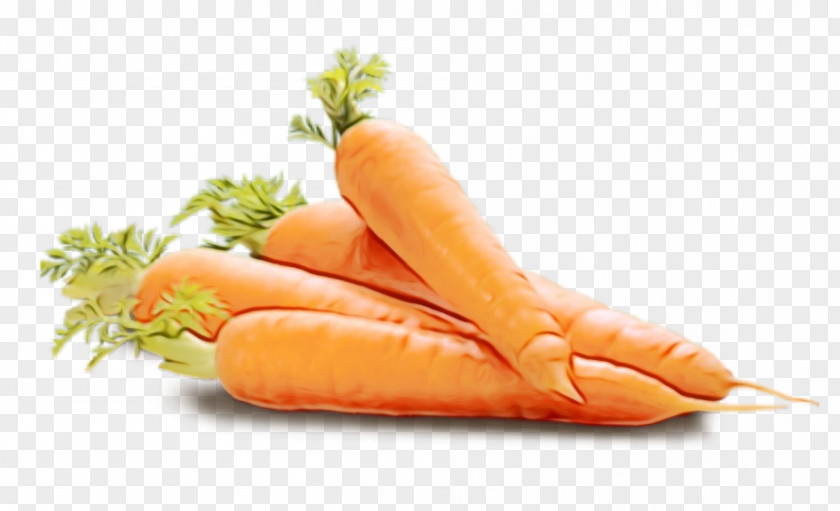 Bockwurst Wild Carrot Food Saveloy Vegetable Cuisine PNG
