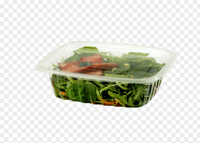 Box Take-out Paper Delicatessen Plastic Polylactic Acid PNG