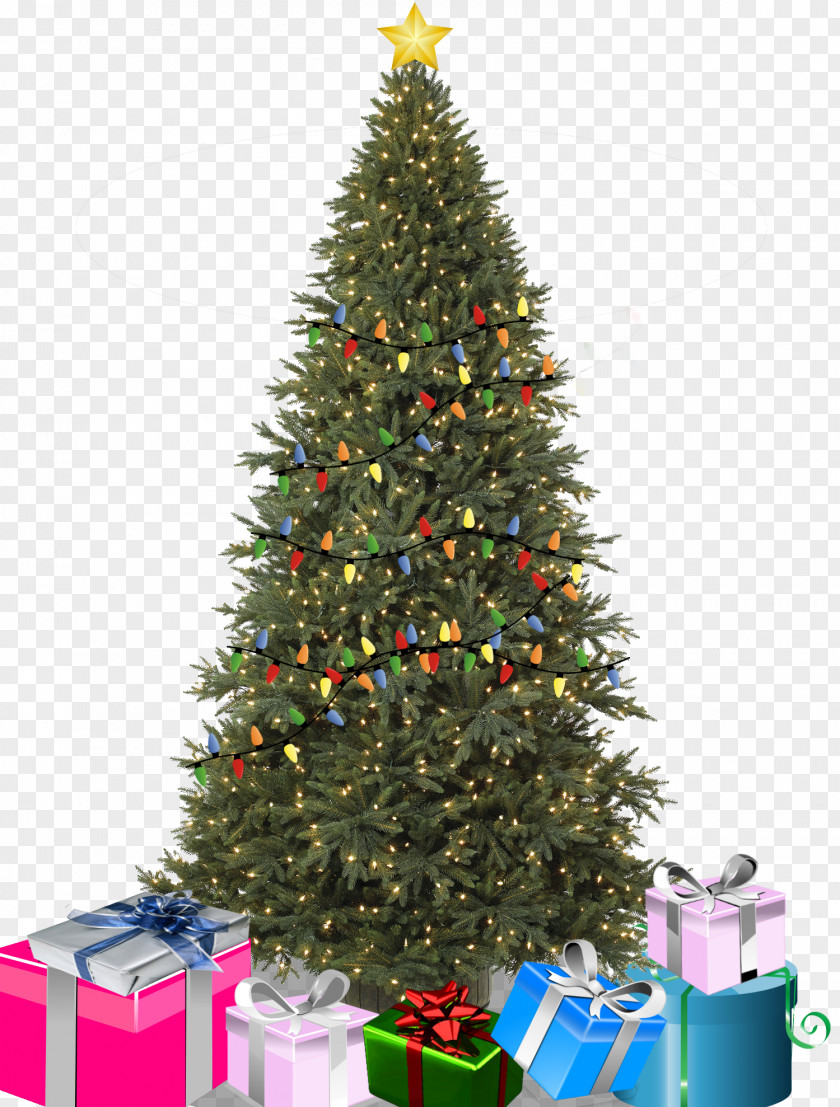 Christmas Tree Lighting Birthday Ornament Balsam Hill PNG