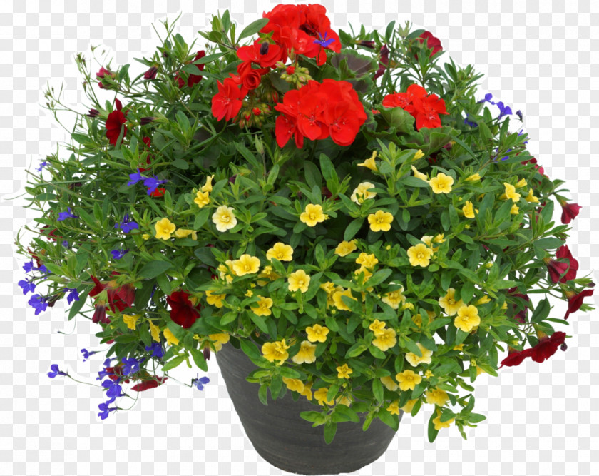 Flowerpot Fundraising Houseplant PNG