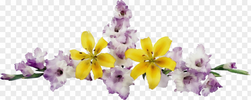 Lavender PNG